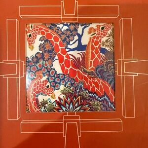 Rare Hermes cashmere “The Three Graces” shawl